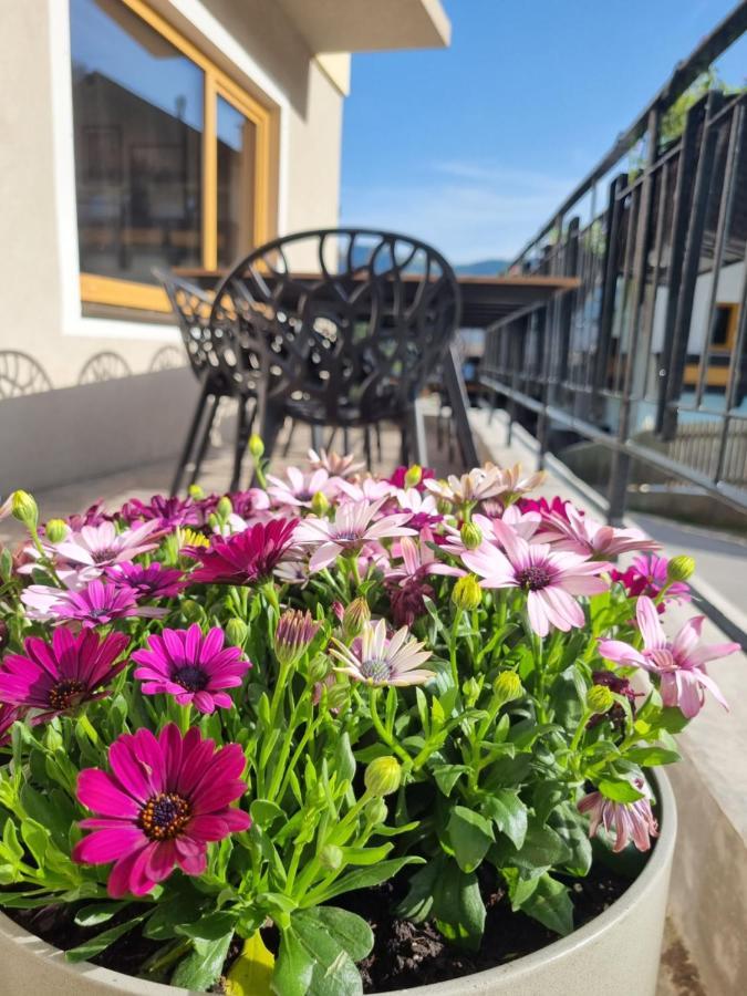 Kaiser Traum Appartement Auffach Esterno foto